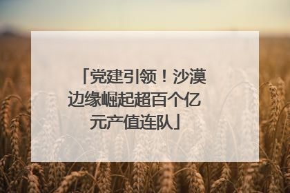 党建引领！沙漠边缘崛起超百个亿元产值连队