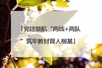 党建领航“两线+两队”筑牢教材育人根基