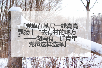 党旗在基层一线高高飘扬丨“去有村的地方”——湖南有一群青年党员这样选择