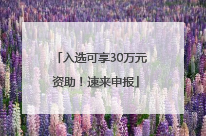 入选可享30万元资助！速来申报