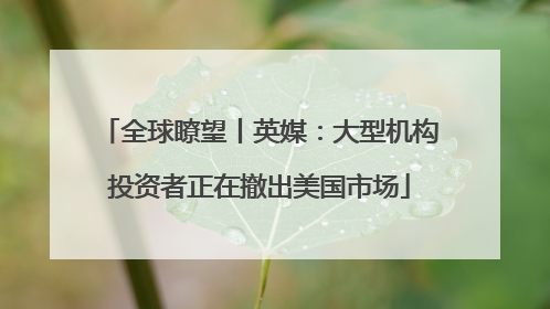 全球瞭望丨英媒：大型机构投资者正在撤出美国市场