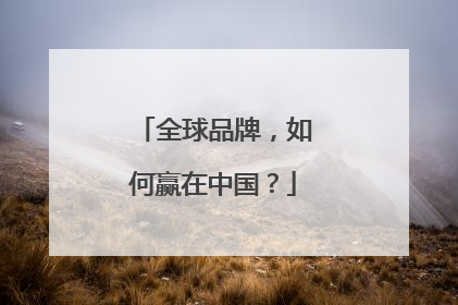 全球品牌，如何赢在中国？