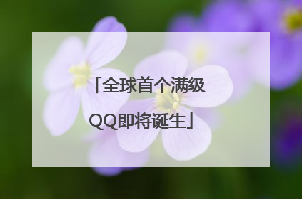 全球首个满级QQ即将诞生