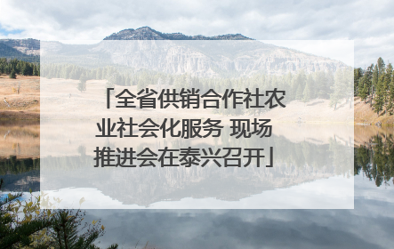 全省供销合作社农业社会化服务 现场推进会在泰兴召开
