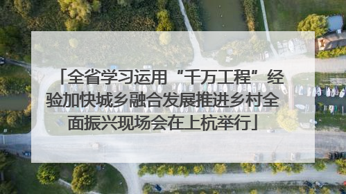 全省学习运用“千万工程”经验加快城乡融合发展推进乡村全面振兴现场会在上杭举行