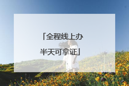 全程线上办 半天可拿证