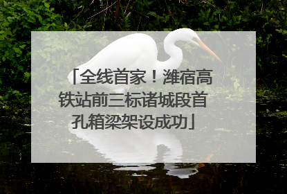 全线首家！潍宿高铁站前三标诸城段首孔箱梁架设成功