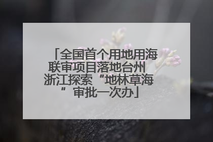 全国首个用地用海联审项目落地台州 浙江探索“地林草海”审批一次办