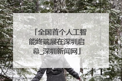 全国首个人工智能终端展在深圳启幕_深圳新闻网