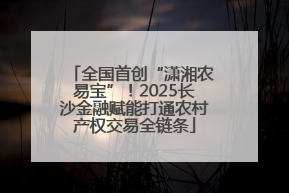 全国首创“潇湘农易宝”！2025长沙金融赋能打通农村产权交易全链条