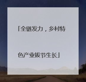 全链发力，乡村特色产业拔节生长
