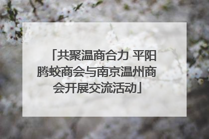 共聚温商合力 平阳腾蛟商会与南京温州商会开展交流活动