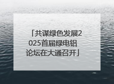 共谋绿色发展2025首届绿电铝论坛在大通召开