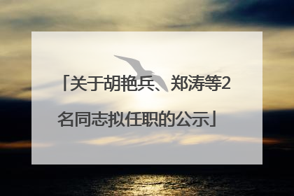 关于胡艳兵、郑涛等2名同志拟任职的公示