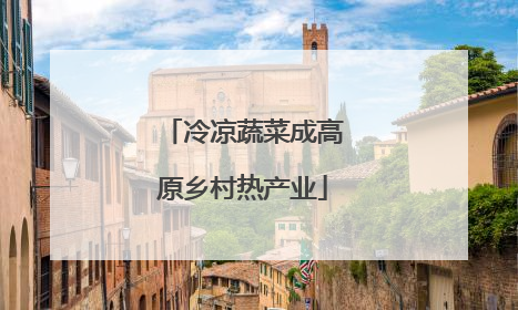 冷凉蔬菜成高原乡村热产业