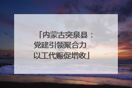 内蒙古突泉县：党建引领聚合力 以工代赈促增收