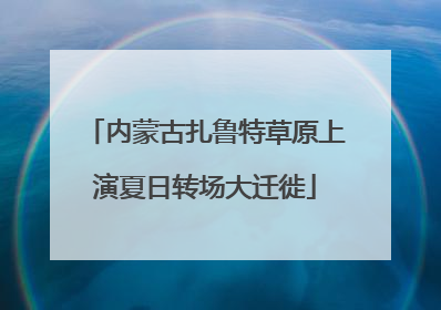 内蒙古扎鲁特草原上演夏日转场大迁徙