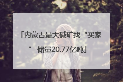 内蒙古最大碱矿找“买家” 储量20.77亿吨