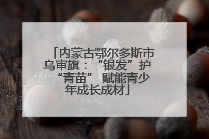 内蒙古鄂尔多斯市乌审旗：“银发”护“青苗” 赋能青少年成长成材