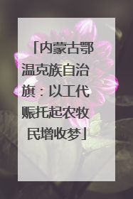 内蒙古鄂温克族自治旗：以工代赈托起农牧民增收梦