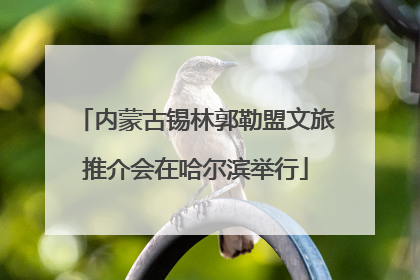 内蒙古锡林郭勒盟文旅推介会在哈尔滨举行