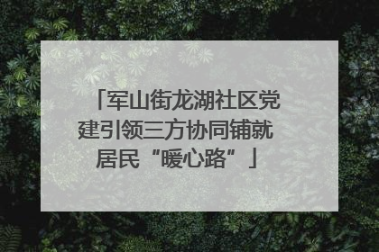军山街龙湖社区党建引领三方协同铺就居民“暖心路”