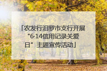 农发行汨罗市支行开展“6·14信用记录关爱日”主题宣传活动