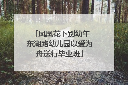 凤凰花下别幼年 东湖路幼儿园以爱为舟送行毕业班