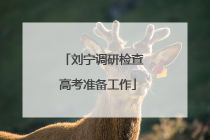 刘宁调研检查高考准备工作