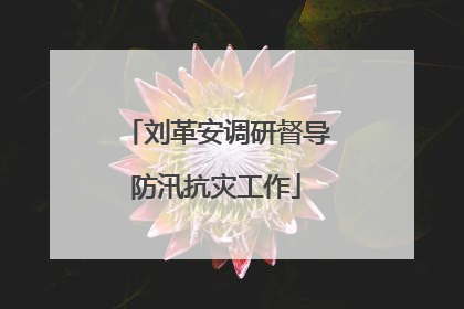 刘革安调研督导防汛抗灾工作