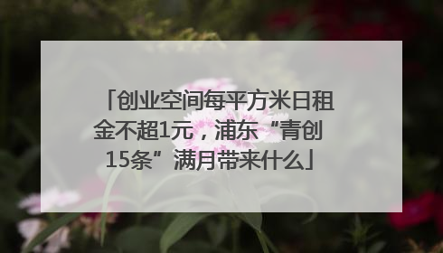 创业空间每平方米日租金不超1元，浦东“青创15条”满月带来什么