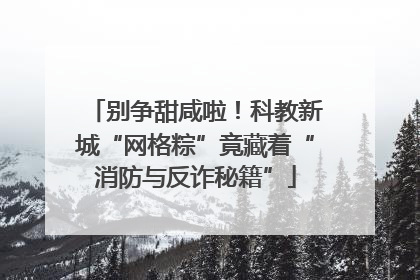 别争甜咸啦！科教新城“网格粽”竟藏着“消防与反诈秘籍”