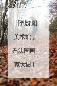 到沈阳美术馆，看法国画家大展