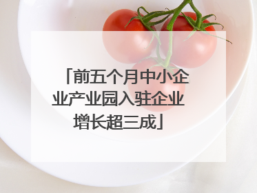 前五个月中小企业产业园入驻企业增长超三成
