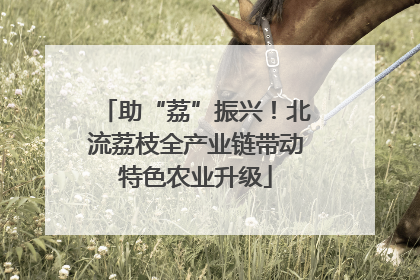 助“荔”振兴！北流荔枝全产业链带动特色农业升级