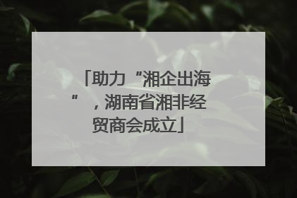 助力“湘企出海”，湖南省湘非经贸商会成立