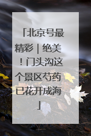 北京号最精彩｜绝美！门头沟这个景区芍药已花开成海