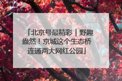 北京号最精彩｜野趣盎然！京城这个生态桥连通两大网红公园