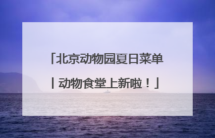 北京动物园夏日菜单丨动物食堂上新啦！