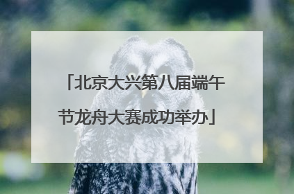 北京大兴第八届端午节龙舟大赛成功举办