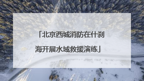北京西城消防在什刹海开展水域救援演练