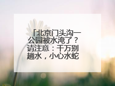 北京门头沟一公园被水淹了？请注意：千万别趟水，小心水蛇、水蛭……
