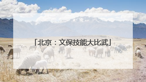 北京：文保技能大比武