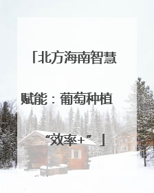 北方海南智慧赋能：葡萄种植“效率+”