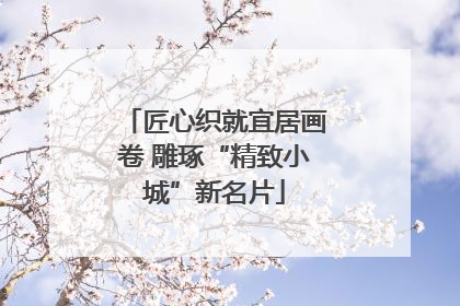 匠心织就宜居画卷 雕琢“精致小城”新名片