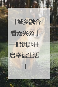 城乡融合看嘉兴⑥丨一把钥匙开启幸福生活