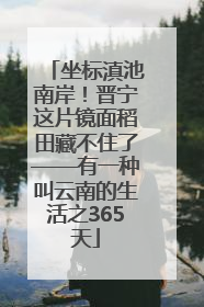 坐标滇池南岸！晋宁这片镜面稻田藏不住了——有一种叫云南的生活之365天