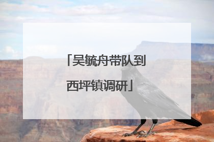 吴毓舟带队到西坪镇调研