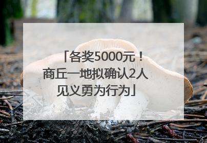 各奖5000元！商丘一地拟确认2人见义勇为行为