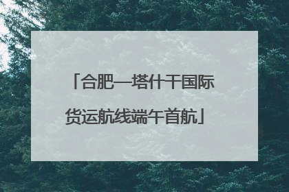 合肥—塔什干国际货运航线端午首航